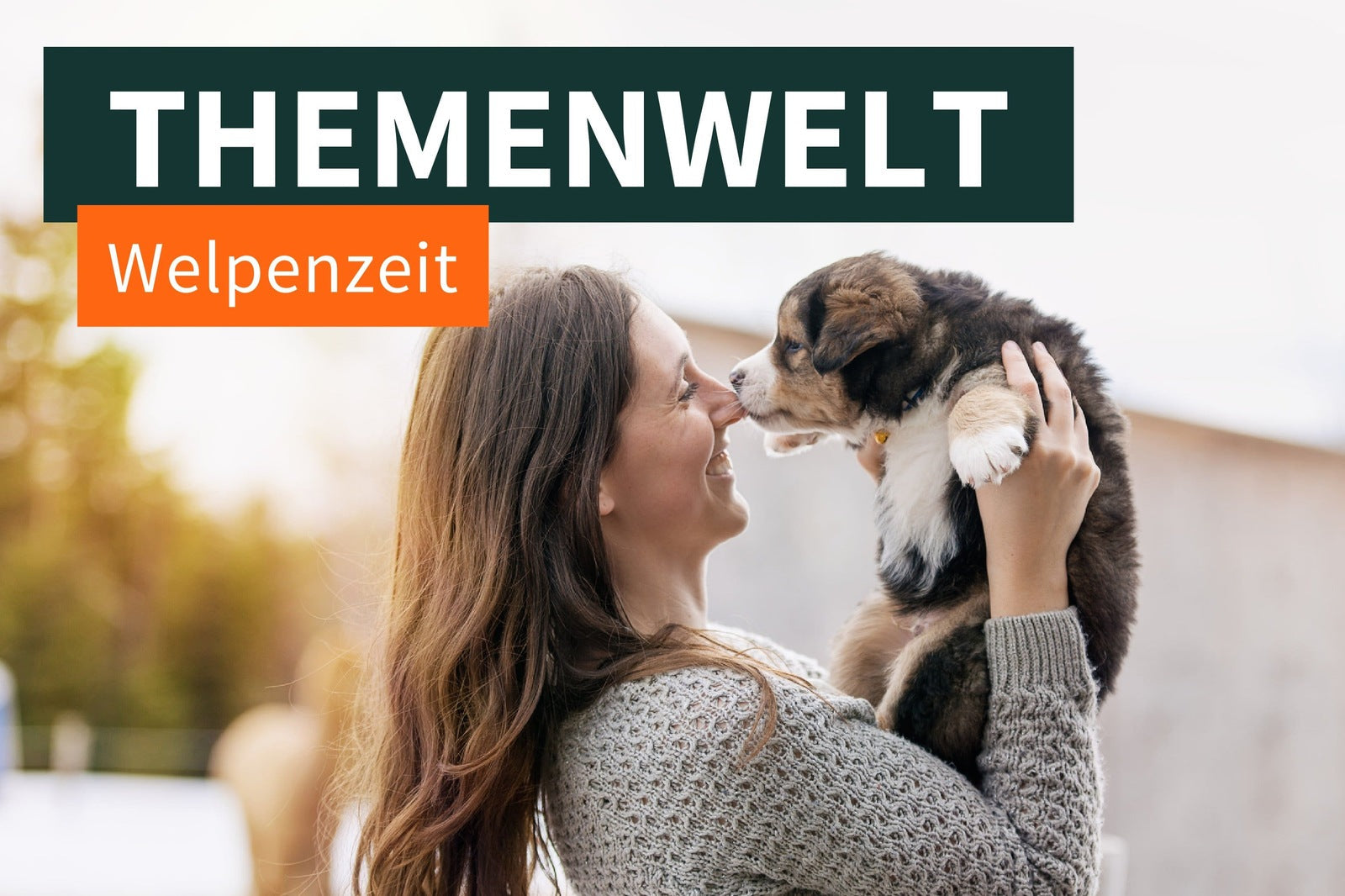 Welpenzeit – Der Start in ein aufregendes Hundeleben!