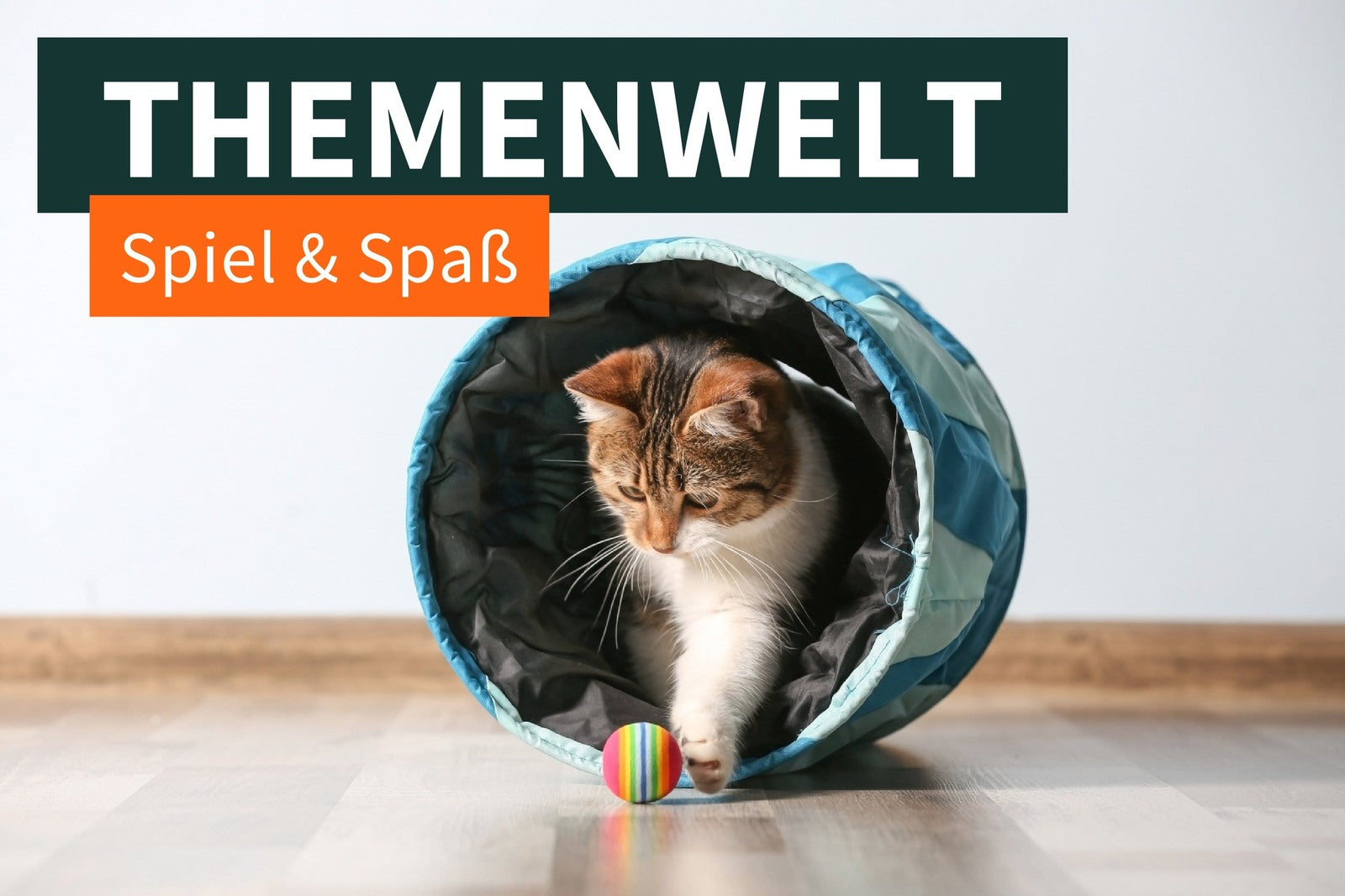Spiel, Spaß und Abenteuer mit deiner Katze!