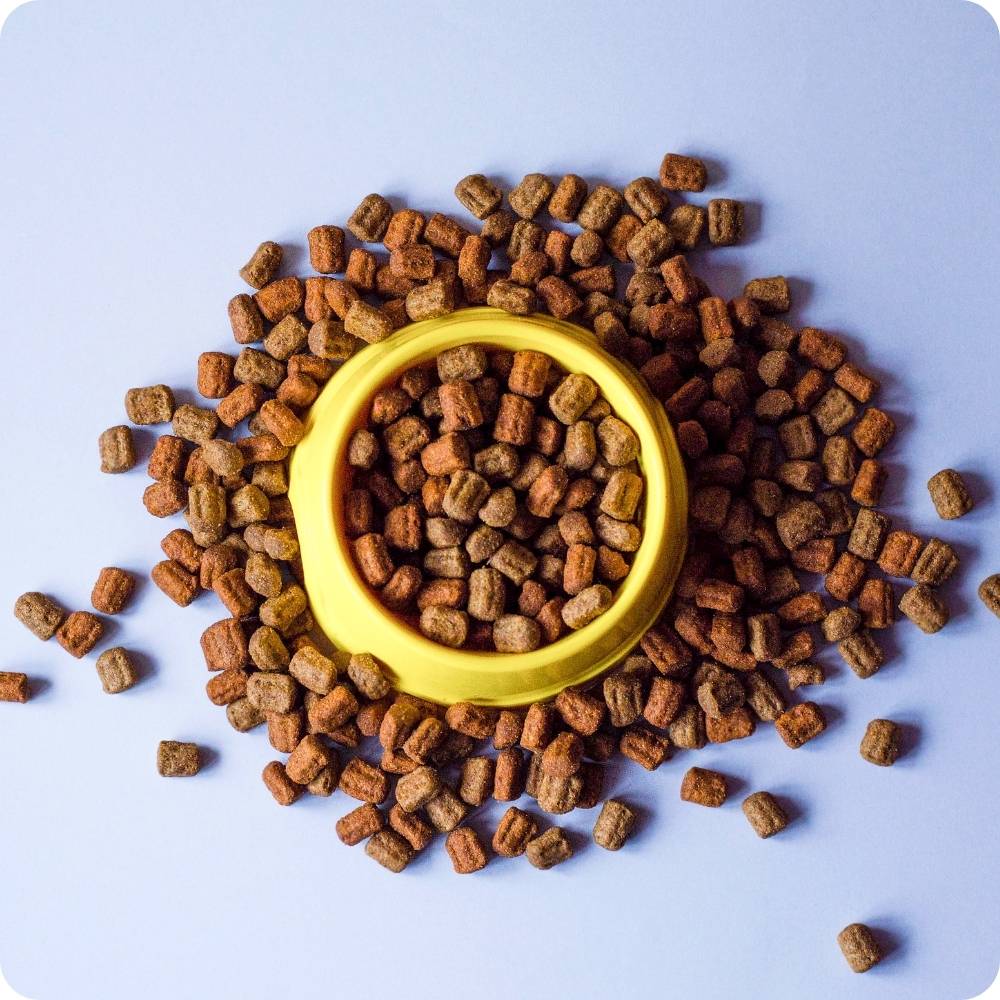 Hundefutter