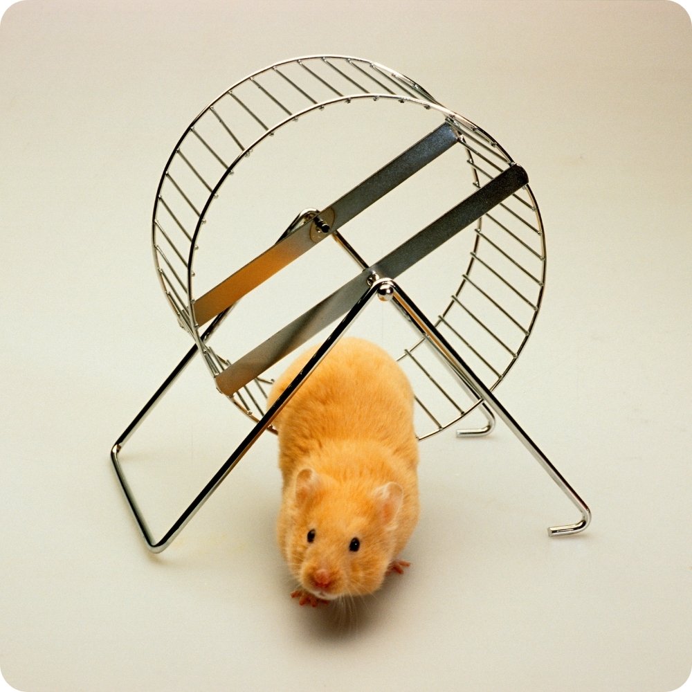 Zubehör für Kleintiere