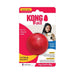 KONG Ball With Hole.