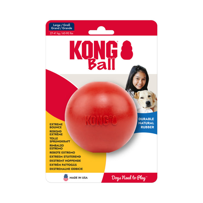 KONG Ball With Hole