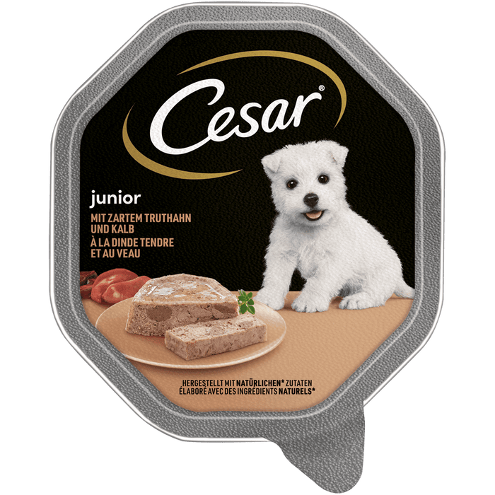 Cesar Schale Junior 14x150g.