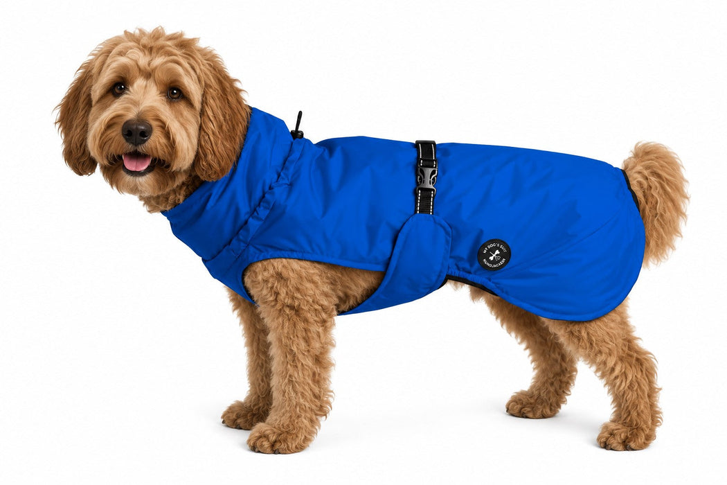 Hunderegenjacke