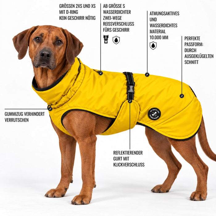 Hunderegenjacke