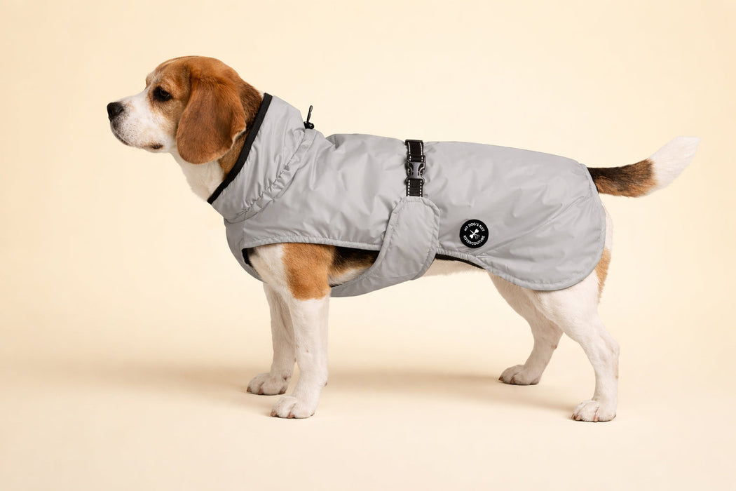 Hunderegenjacke