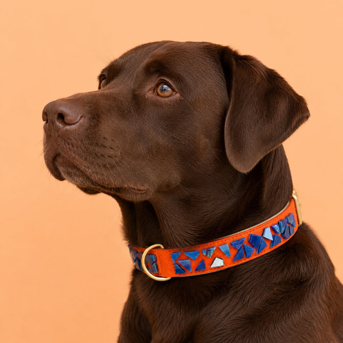 PURE no.02 - Hundehalsband mit Mosaik