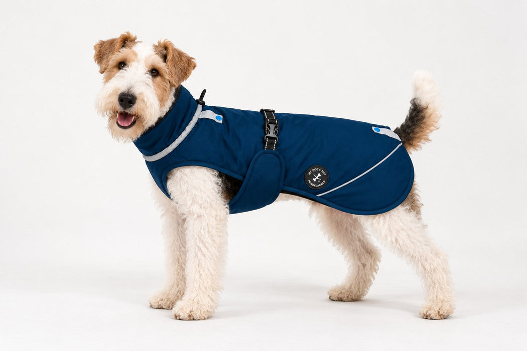Hundewinterjacke