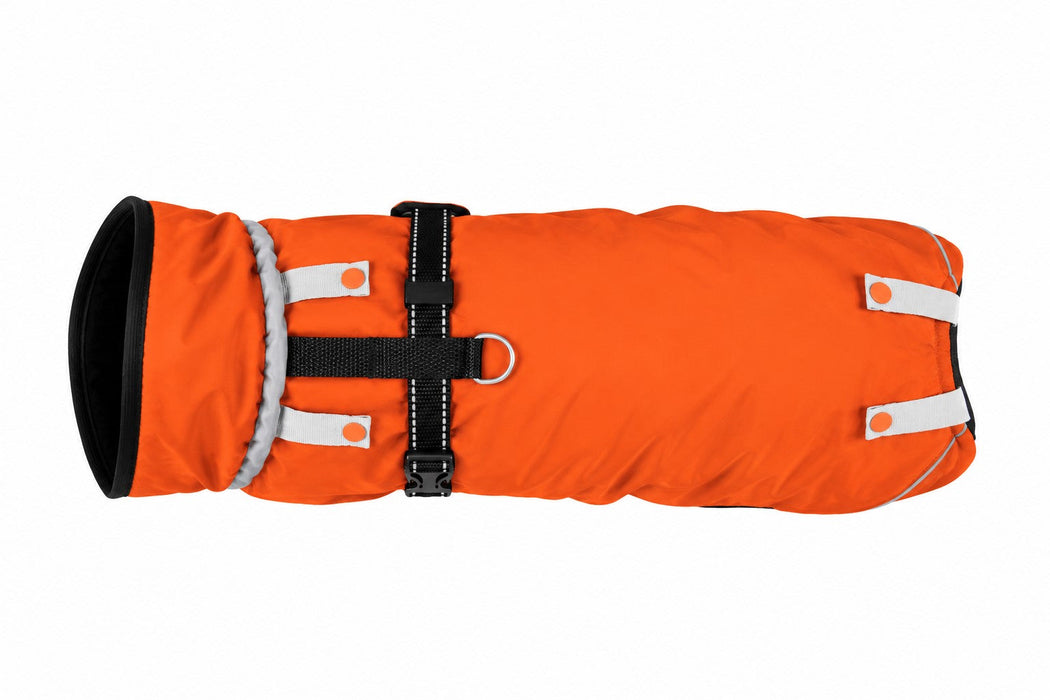 Hundewinterjacke