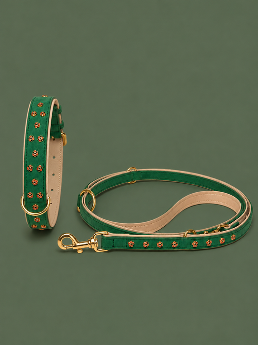 Set URBAN no.04 (Halsband & Leine)