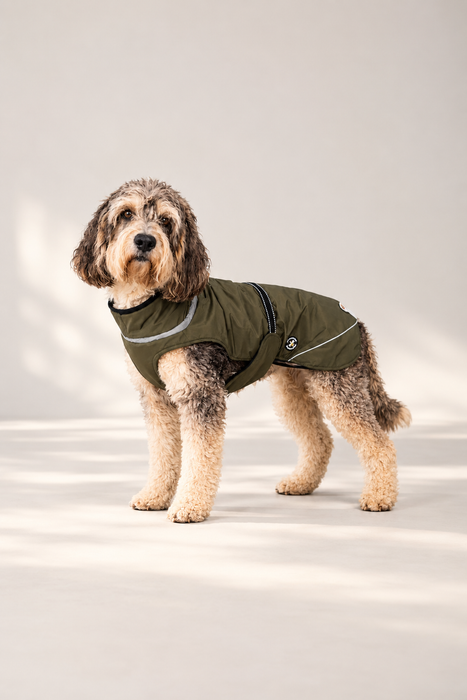 Hundewinterjacke