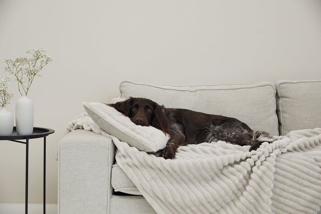 Kuscheldecke VÄRME Breitcord
