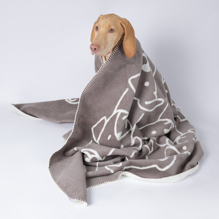 Decke Caruso Dogs