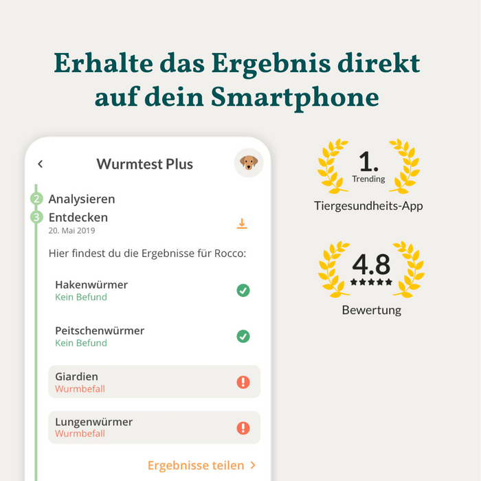 vetevo Wurmtest Plus Hund