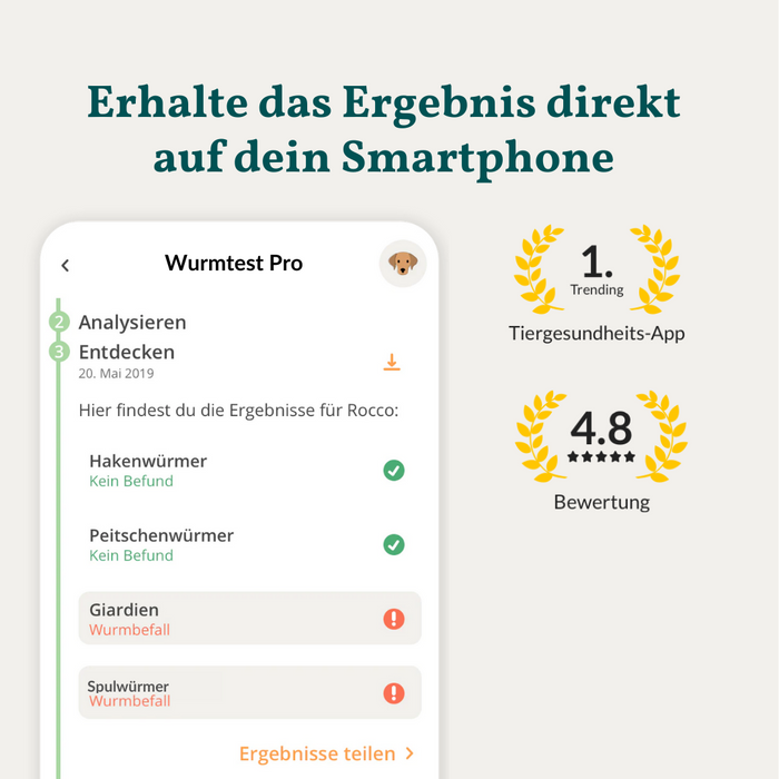 vetevo Wurmtest Basic Hund Sparpaket