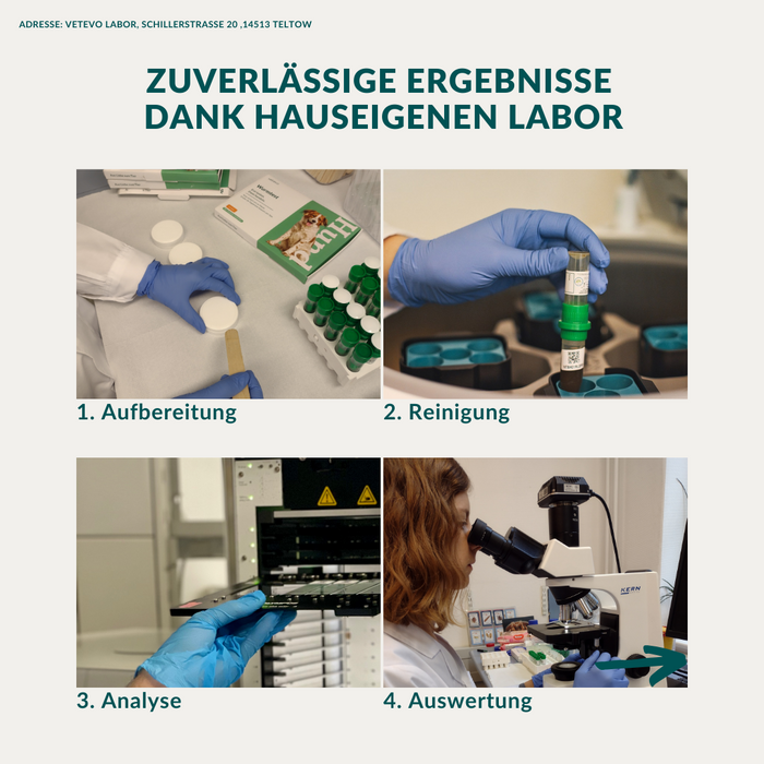 vetevo Wurmtest Plus Hund Sparpaket