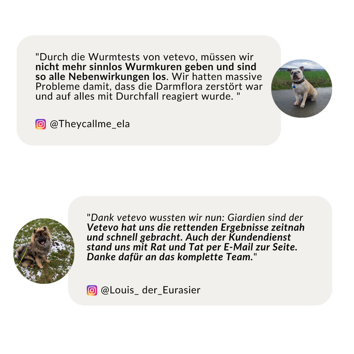 vetevo Wurmtest Plus Hund Sparpaket