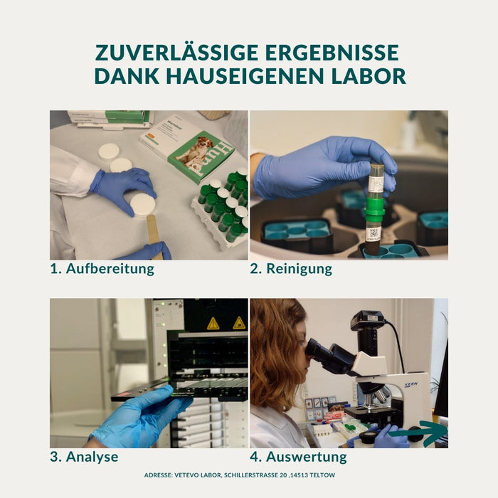 vetevo Wurmtest Plus Katze Sparpaket