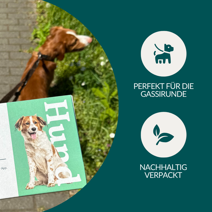 vetevo Wurmtest Plus Hund