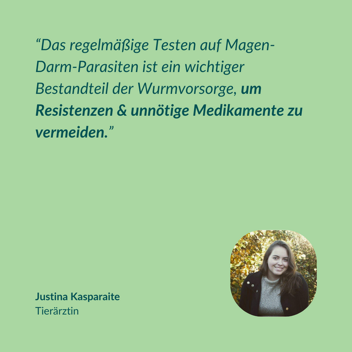 vetevo Wurmtest Pro Pferd Sparpaket