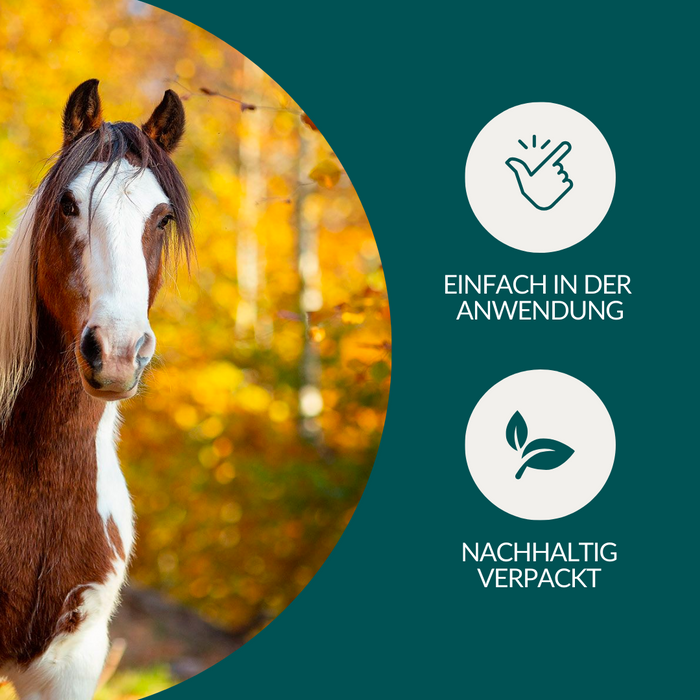 vetevo Wurmtest Plus Pferd Sparpaket