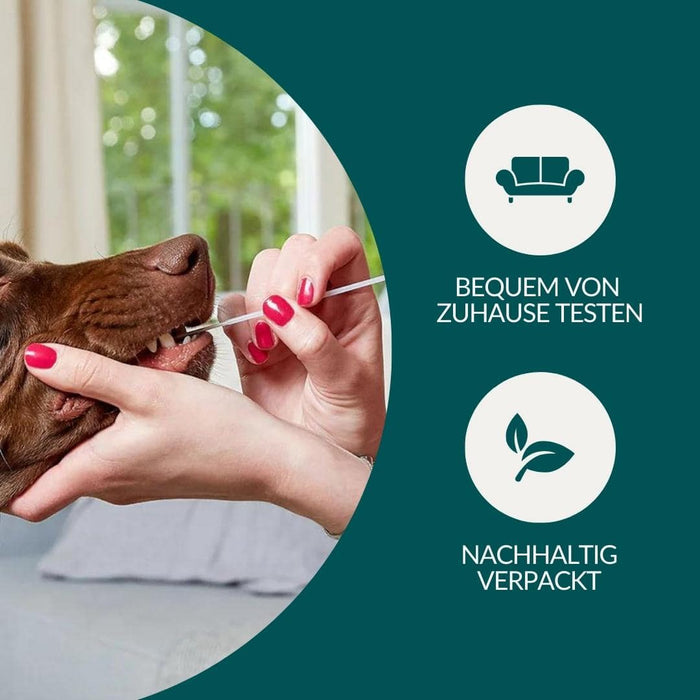 vetevo Allergietest Pro Hund