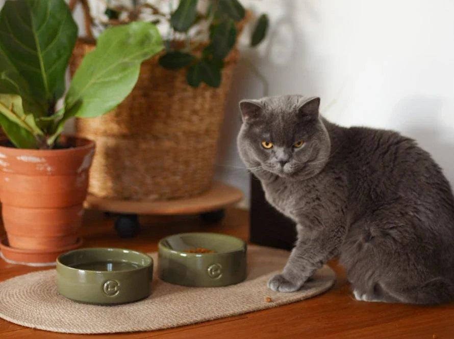 KATZENNAPF aus Keramik / Kugelboden / Handgefertigt