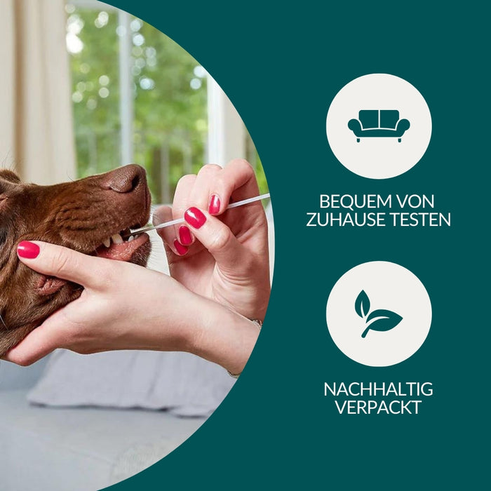 vetevo Allergietest - Tierische Proteine Hund