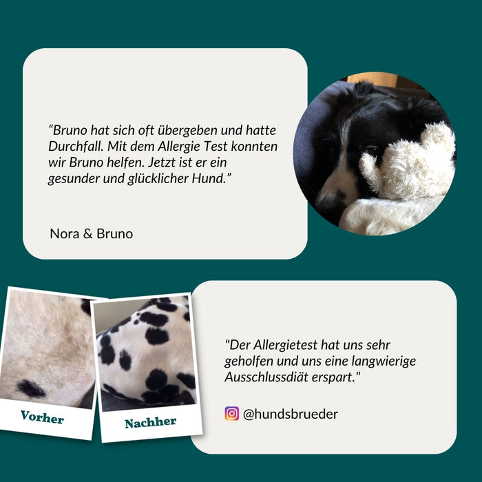 vetevo Allergietest - Gemüse, Getreide & Co. Hund