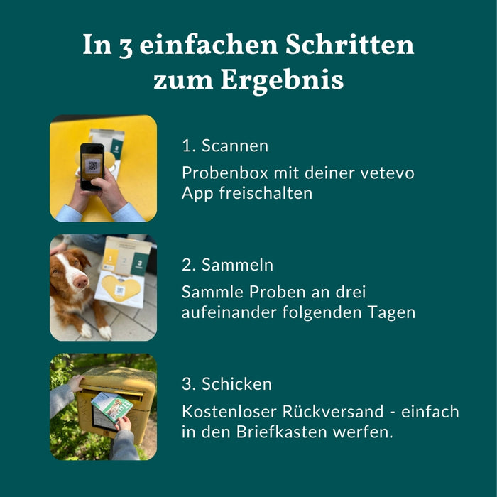 vetevo Wurmtest Pro Hund