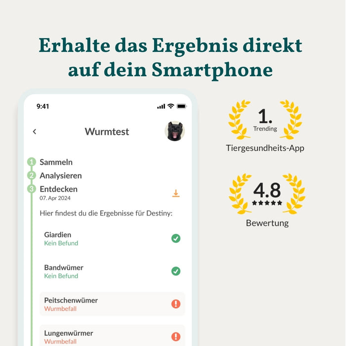 vetevo Wurmtest Basic Katze