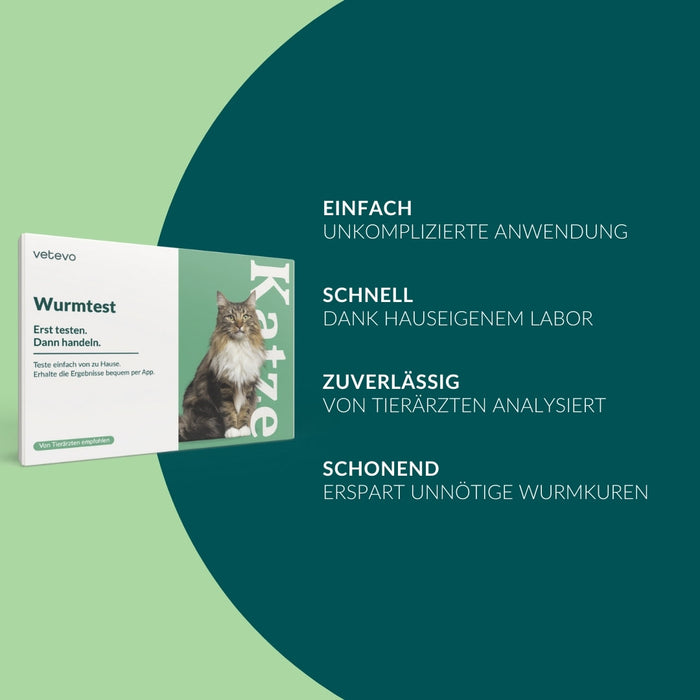 vetevo Wurmtest Basic Katze