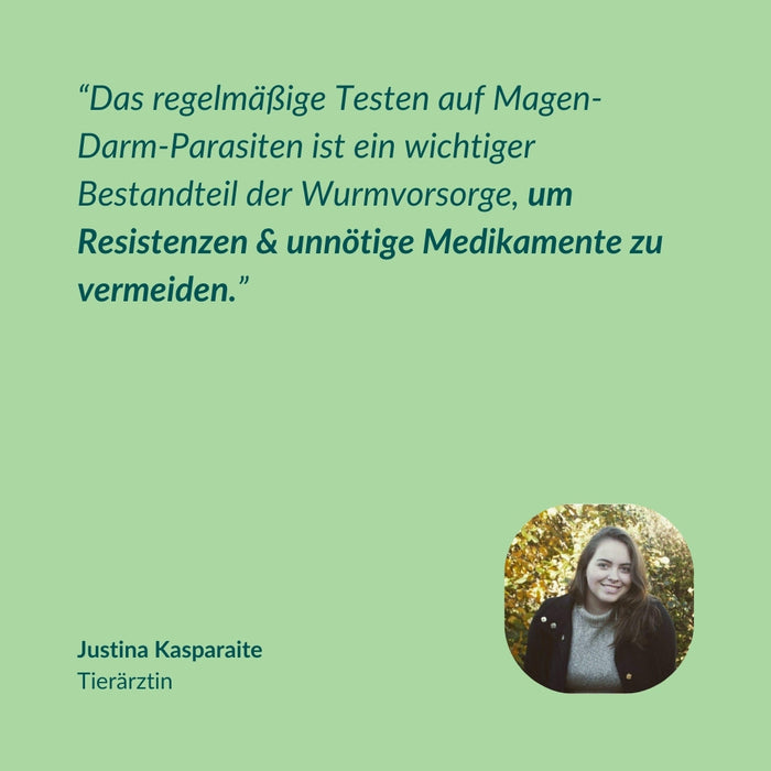 vetevo Wurmtest Plus Katze Sparpaket