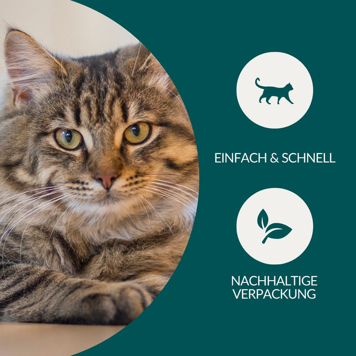 vetevo Wurmtest Pro Katze Sparpaket