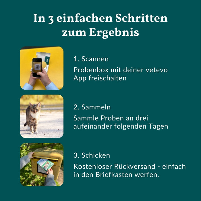 vetevo Wurmtest Basic Katze Sparpaket