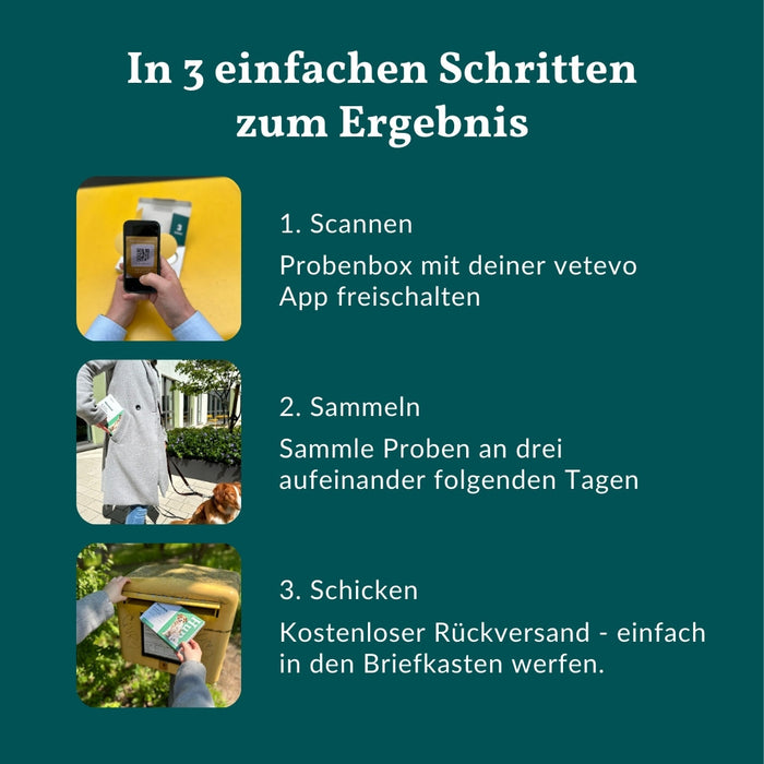 vetevo Wurmtest Basic Pferd