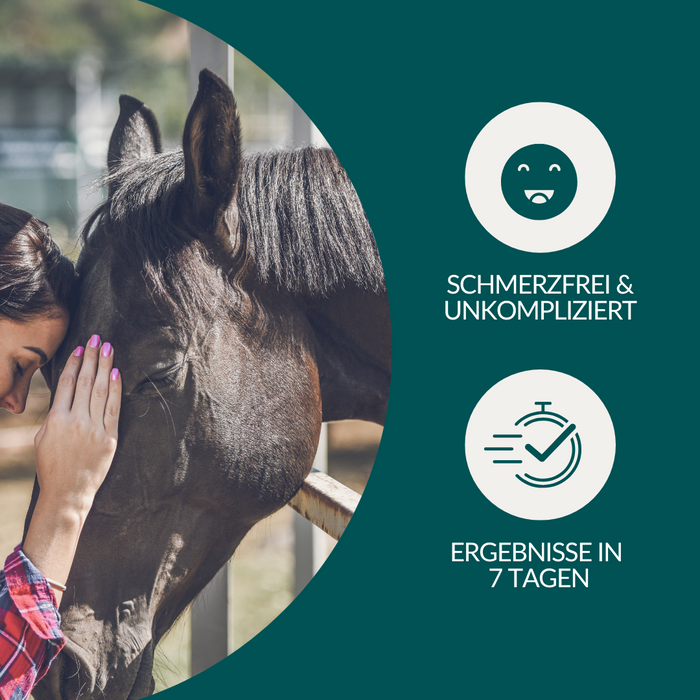 vetevo Allergietest - Getreide, Samen & Nüsse Pferd