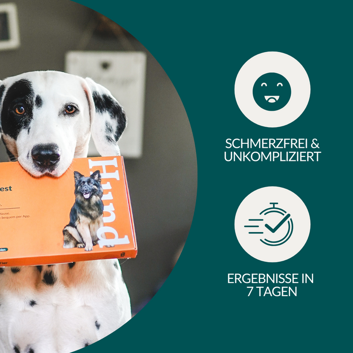 vetevo Allergietest Basic Hund