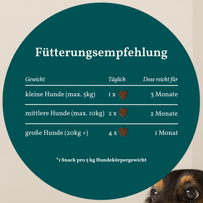 vetevo Belly Bites 2.0