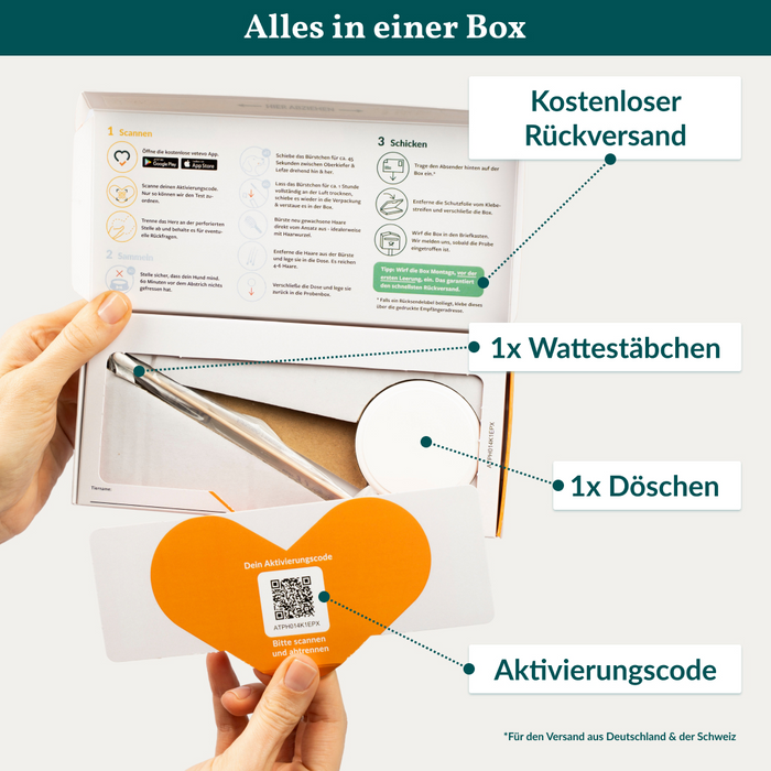 vetevo Allergietest Basic Hund