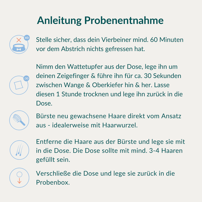 vetevo Allergietest - Konservierungsstoffe Hund