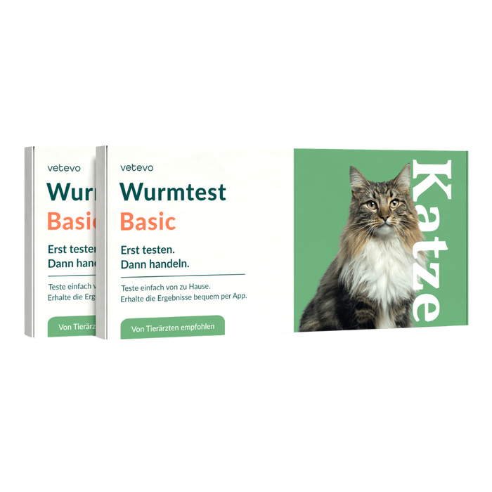 vetevo Wurmtest Basic Katze