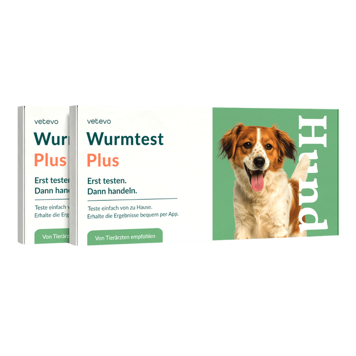 vetevo Wurmtest Plus Hund