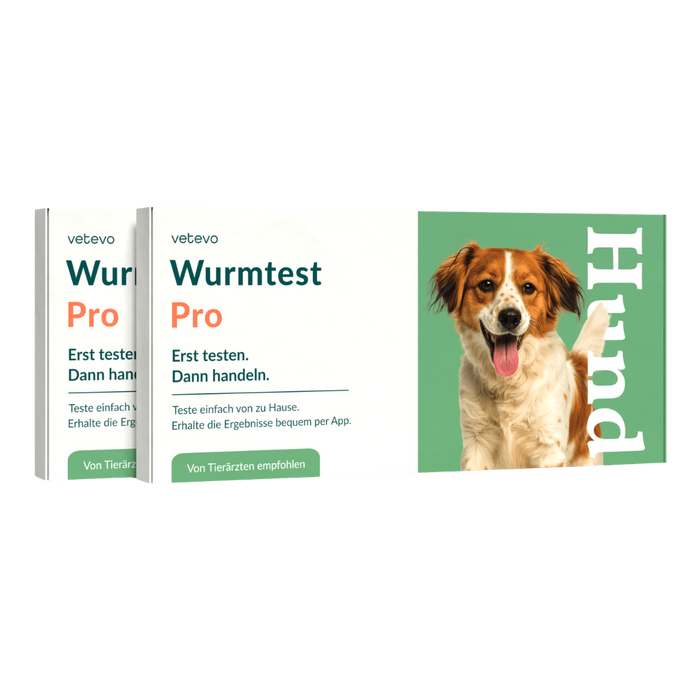 vetevo Wurmtest Pro Hund