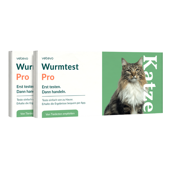 vetevo Wurmtest Pro Katze