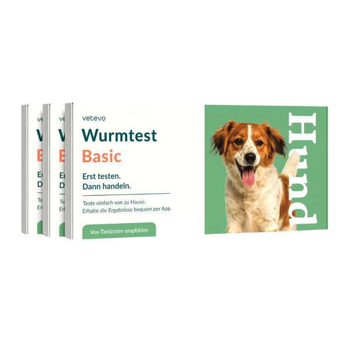 vetevo Wurmtest Basic Hund