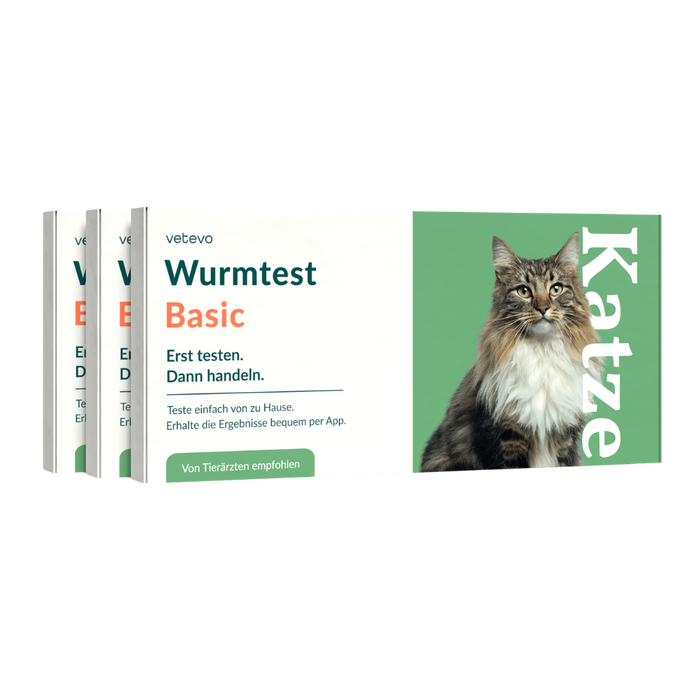 vetevo Wurmtest Basic Katze