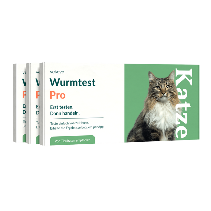 vetevo Wurmtest Pro Katze