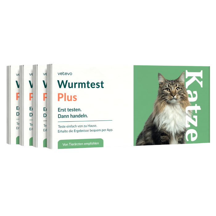 vetevo Wurmtest Plus Katze