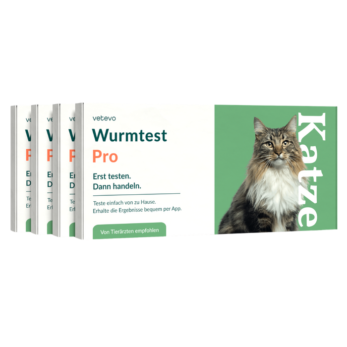 vetevo Wurmtest Pro Katze